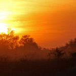 Coucher de soleil près de Satara