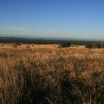 Addo Elephant National Park