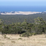 Addo Elephant National Park
