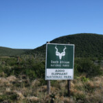Addo Elephant National Park