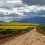 Agulhas plain Svg+xml,%3Csvg%20xmlns%3D%22http%3A%2F%2Fwww.w3