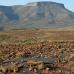 Karoo