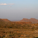 Karoo