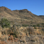 Parc National du Karoo