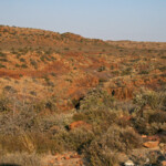 Karoo