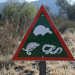 Photothèque Afrique du Sud Svg+xml,%3Csvg%20xmlns%3D%22http%3A%2F%2Fwww.w3