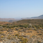 Karoo