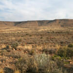 Karoo