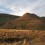 Karoo