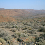 Karoo