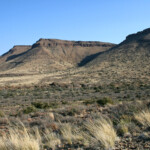 Karoo