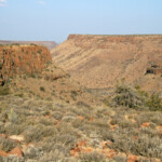 Afrique du Sud - Karoo Août 2014