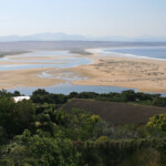 Plettenberg's bay Svg+xml,%3Csvg%20xmlns%3D%22http%3A%2F%2Fwww.w3