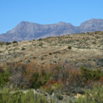 Swartberg Pass