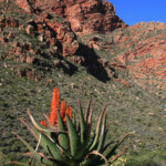 Swartberg Pass Svg+xml,%3Csvg%20xmlns%3D%22http%3A%2F%2Fwww.w3