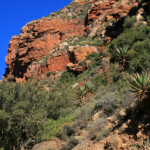 Swartberg Pass Svg+xml,%3Csvg%20xmlns%3D%22http%3A%2F%2Fwww.w3