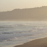 Plage, Wilderness Svg+xml,%3Csvg%20xmlns%3D%22http%3A%2F%2Fwww.w3