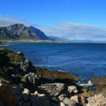 Hermanus