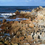 Betty's Bay Svg+xml,%3Csvg%20xmlns%3D%22http%3A%2F%2Fwww.w3