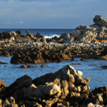 Betty's Bay Svg+xml,%3Csvg%20xmlns%3D%22http%3A%2F%2Fwww.w3