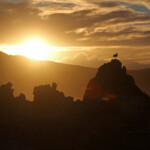 Ouette d'Egypte - Betty's Bay