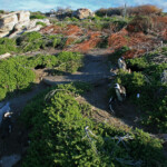 Betty's Bay Svg+xml,%3Csvg%20xmlns%3D%22http%3A%2F%2Fwww.w3