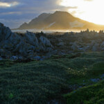 Betty's Bay Svg+xml,%3Csvg%20xmlns%3D%22http%3A%2F%2Fwww.w3