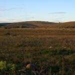 Bontebok national park
