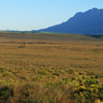 Bontebok national park