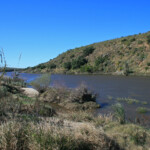 Bontebok national park