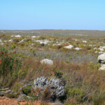 Cap de Bonne Espérance