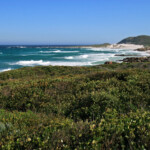 Cap de Bonne Espérance