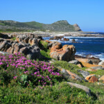 Cap de Bonne Espérance