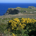 Cap de Bonne Espérance