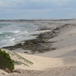 De Hoop
