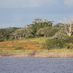 De Hoop