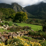 Kirstenbosch
