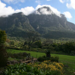 Kirstenbosch