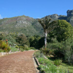 Kirstenbosch