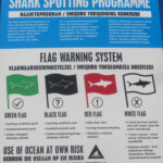 Requins - Le Cap