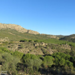 Sierra Morena