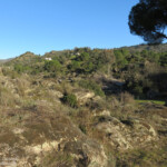 Encinarejo