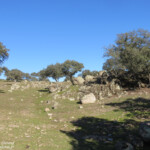 Sierra Morena