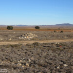 Gallocanta (Aragon - Espagne)