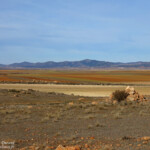 Gallocanta (Aragon - Espagne) Svg+xml,%3Csvg%20xmlns%3D%22http%3A%2F%2Fwww.w3
