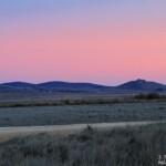Gallocanta (Aragon - Espagne)