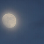 Gallocanta (Aragon - Espagne)