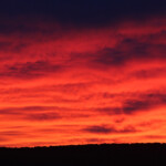 Gallocanta (Aragon - Espagne)