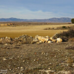 Gallocanta (Aragon - Espagne)