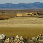 Gallocanta (Aragon - Espagne)
